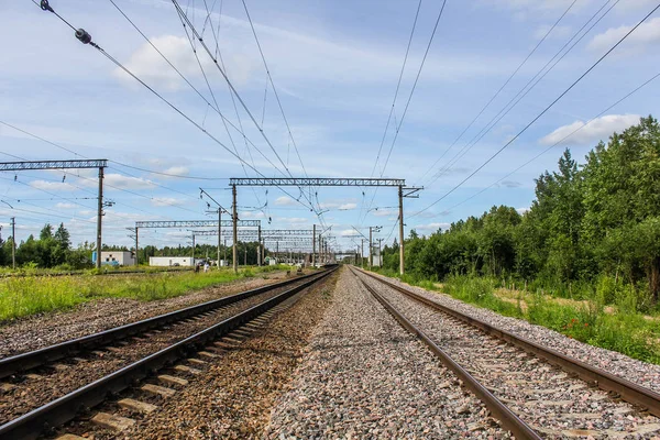 Perspektivischer Blick Auf Grüne Wiesen Mit Löwenzahn Und Eisenbahn Die — Stockfoto