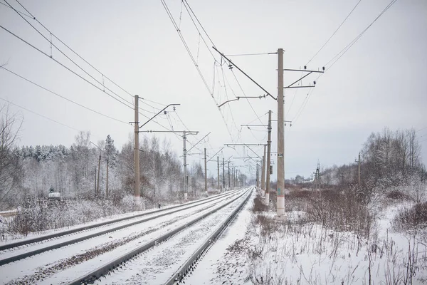 Tren. insan ve yük taşıma aracı. Şehirler ve ülkeler çevresinde seyahat