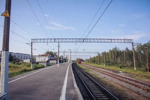 Perspektif görünümü dandelions ve mavi gökyüzü ve yeşil ağaçlar altında kaçmak demiryolu ile yeşil alan. Demiryolu seyahat için
