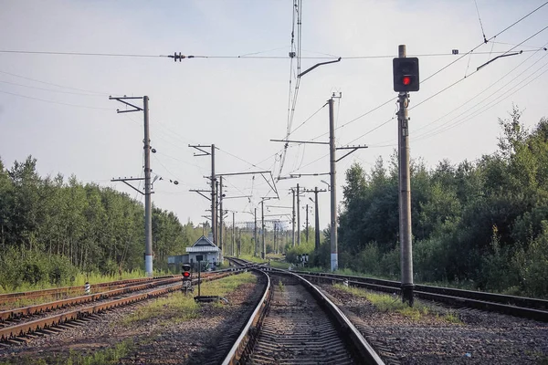 Perspectief Uitzicht Groen Gebied Met Paardebloemen Spoorweg Onder Blauwe Hemel — Stockfoto