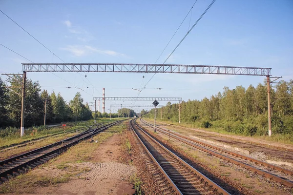 Perspektif görünümü dandelions ve mavi gökyüzü ve yeşil ağaçlar altında kaçmak demiryolu ile yeşil alan. Demiryolu seyahat için
