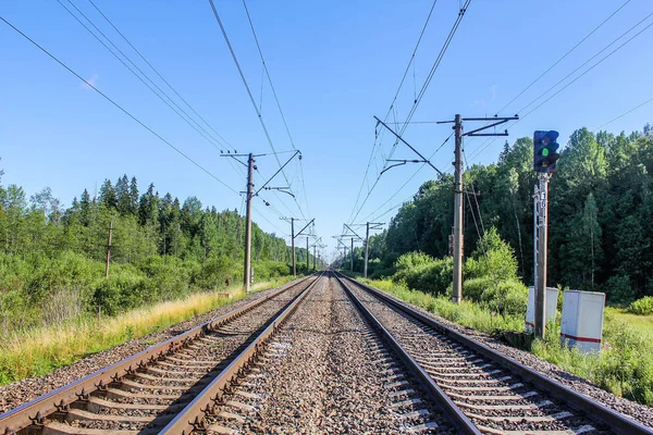 Perspektif görünümü dandelions ve mavi gökyüzü ve yeşil ağaçlar altında kaçmak demiryolu ile yeşil alan. Demiryolu seyahat için