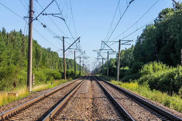 Perspektivischer Blick Auf Grüne Wiesen Mit Löwenzahn Und Eisenbahn Die — Stockfoto