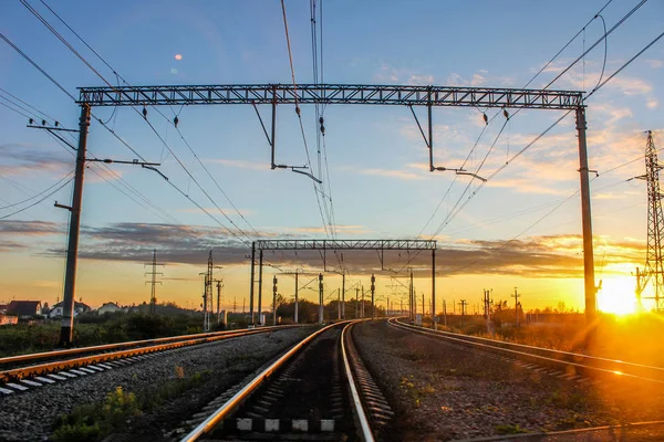 Perspektif görünümü dandelions ve mavi gökyüzü ve yeşil ağaçlar altında kaçmak demiryolu ile yeşil alan. Demiryolu seyahat için