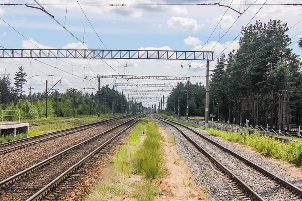 Perspektif görünümü dandelions ve mavi gökyüzü ve yeşil ağaçlar altında kaçmak demiryolu ile yeşil alan. Demiryolu seyahat için
