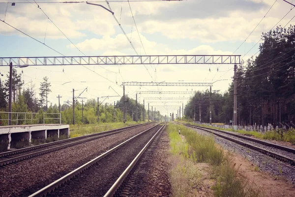 Vue Perspective Champ Vert Avec Les Pissenlits Chemin Fer Enfuyant — Photo