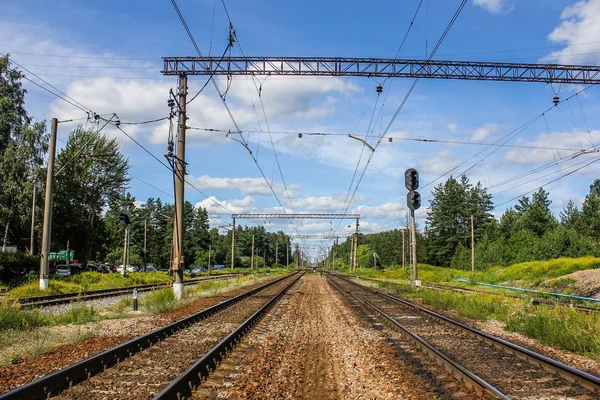 Perspektif görünümü dandelions ve mavi gökyüzü ve yeşil ağaçlar altında kaçmak demiryolu ile yeşil alan. Demiryolu seyahat için
