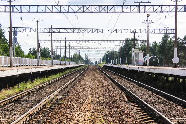 Perspektif görünümü dandelions ve mavi gökyüzü ve yeşil ağaçlar altında kaçmak demiryolu ile yeşil alan. Demiryolu seyahat için