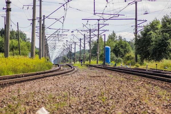 Perspektif görünümü dandelions ve mavi gökyüzü ve yeşil ağaçlar altında kaçmak demiryolu ile yeşil alan. Demiryolu seyahat için