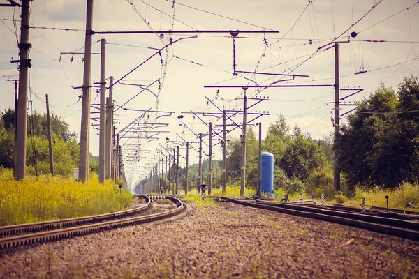 Perspektif görünümü dandelions ve mavi gökyüzü ve yeşil ağaçlar altında kaçmak demiryolu ile yeşil alan. Demiryolu seyahat için