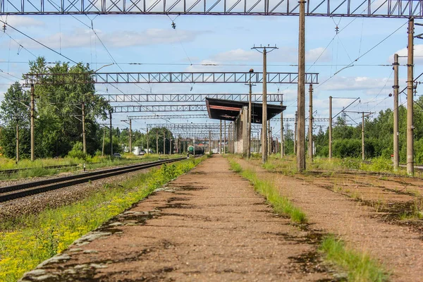 Perspektif görünümü dandelions ve mavi gökyüzü ve yeşil ağaçlar altında kaçmak demiryolu ile yeşil alan. Demiryolu seyahat için