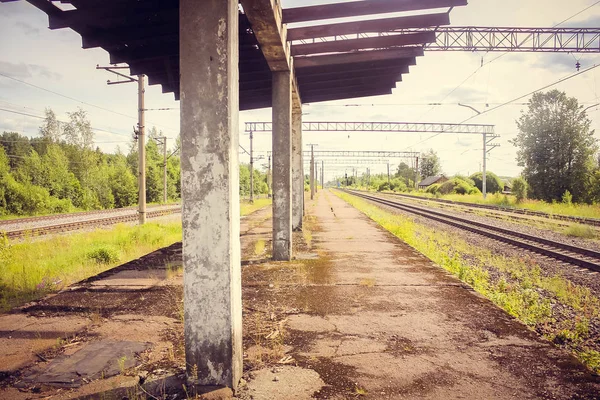 Perspektif görünümü dandelions ve mavi gökyüzü ve yeşil ağaçlar altında kaçmak demiryolu ile yeşil alan. Demiryolu seyahat için