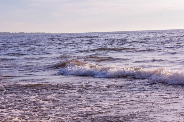 Bay denizin üzerinde yaz günbatımı. Akşam yaz. Deniz on Sunset. Dalgalar ve gökyüzü. Dinlenmek ve seyahat. Relax arka plan