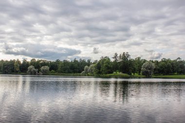 Güzel göl yaz Park. Doğa, seyahat