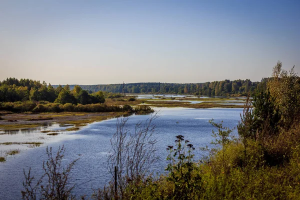 Piękne Lato Park Natura Podróżować — Zdjęcie stockowe