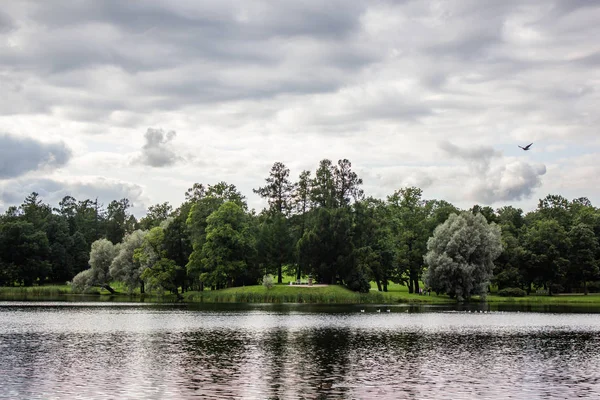 美丽的湖在夏天公园 — 图库照片