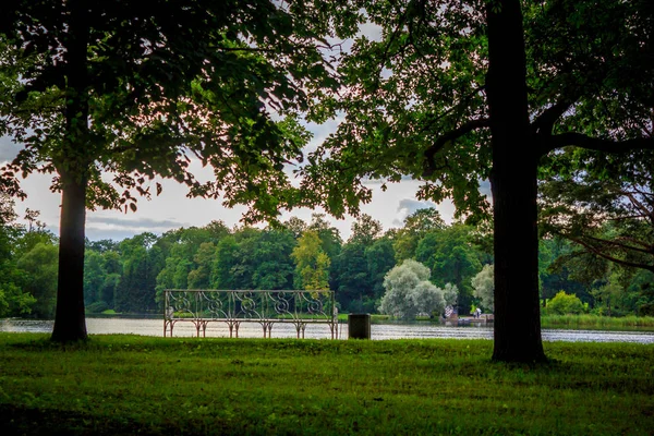 Piękne Lato Park Natura Podróżować — Zdjęcie stockowe