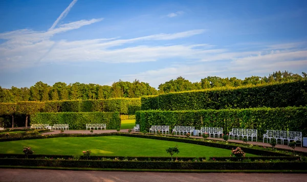 Mooie Zomerse Park Natuur Reizen — Stockfoto