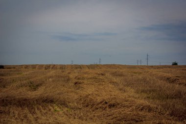 Yuvarlak haystacks alanıyla