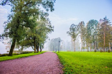Güzel yaz park. Doğa, seyahat