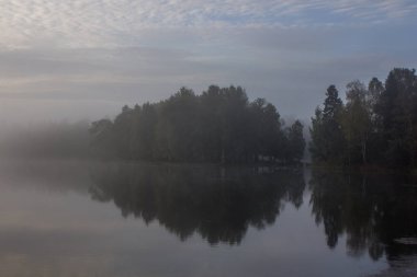 Güzel göl yaz Park. Doğa, seyahat