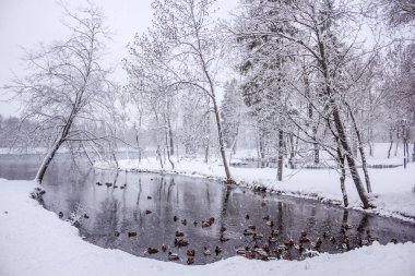 Kış manzarası açık havada.
