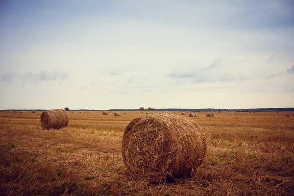 Campo Com Palheiro Redondo — Fotografia de Stock