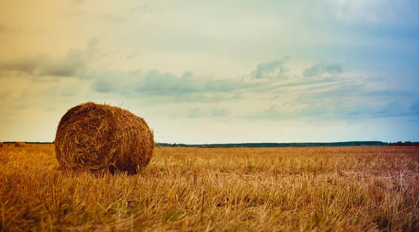 Campo Con Pajar Redondo — Foto de Stock