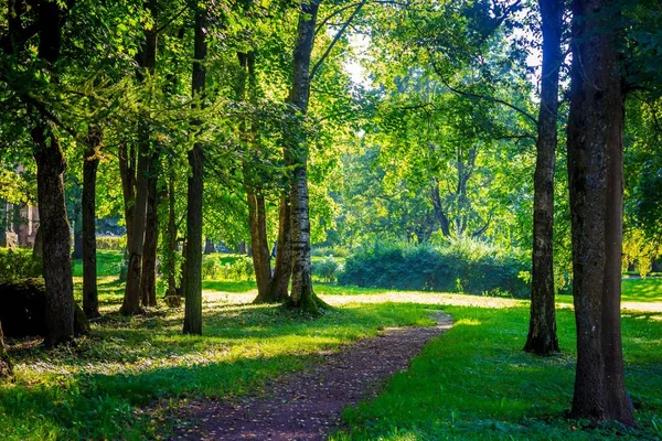 Krásné Letní Park Příroda Cestování — Stock fotografie