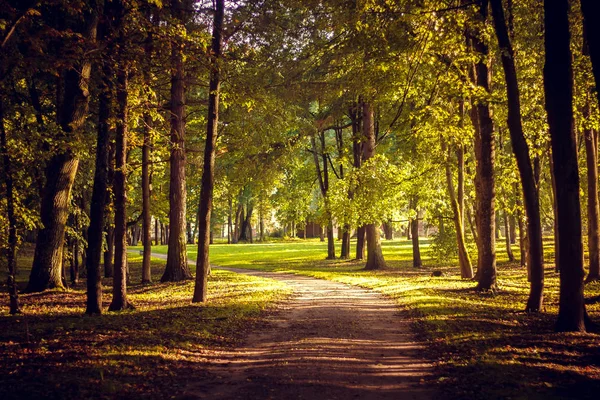 Hermoso Parque Verano Naturaleza Viajes — Foto de Stock