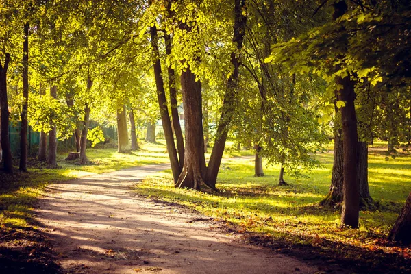 Szép Nyári Park Természet Utazás — Stock Fotó