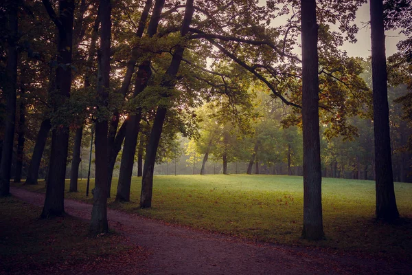 Hermoso Parque Verano Naturaleza Viajes — Foto de Stock