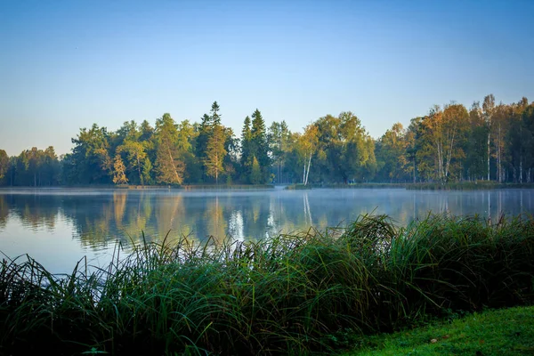 Schöner See Sommerpark Natur Reisen — Stockfoto