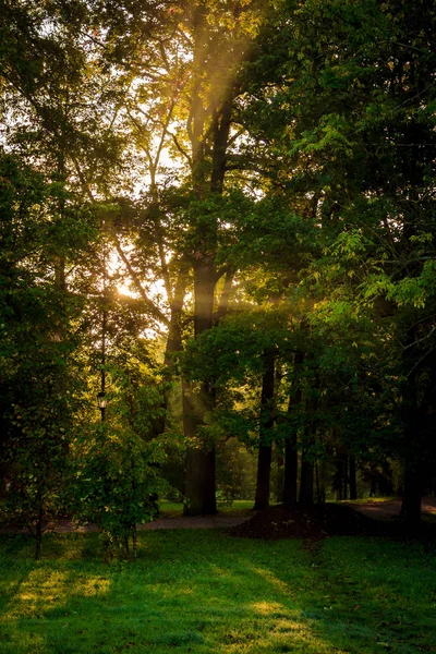 Piękne Lato Park Natura Podróżować — Zdjęcie stockowe