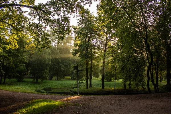 Hermoso Parque Verano Naturaleza Viajes — Foto de Stock