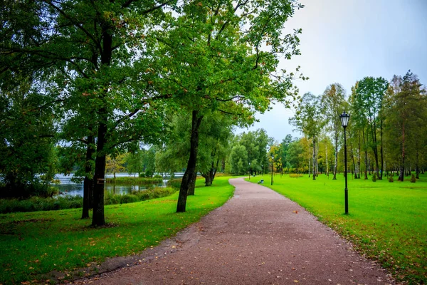 Hermoso Parque Verano Naturaleza Viajes —  Fotos de Stock