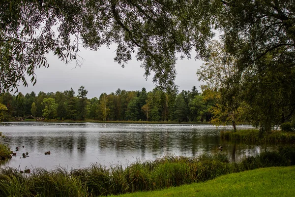 Güzel Göl Yaz Park Doğa Seyahat — Stok fotoğraf