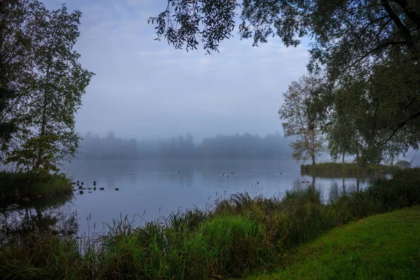 Krásné Jezero Letním Parku Příroda Cestování — Stock fotografie