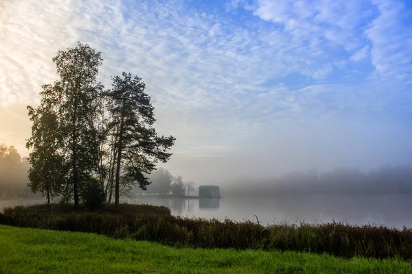 Krásné Jezero Letním Parku Příroda Cestování — Stock fotografie