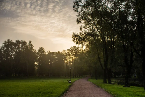 Piękne Lato Park Natura Podróżować — Zdjęcie stockowe