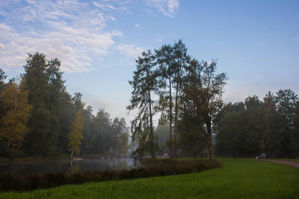 Vacker Sommar Park Naturen Färdas — Stockfoto