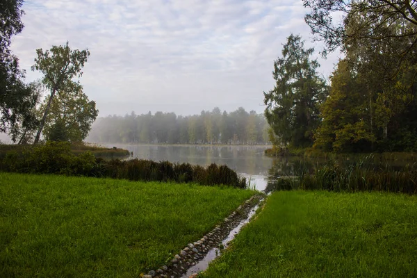 Красивое Озеро Летнем Парке Природа Путешествия — стоковое фото