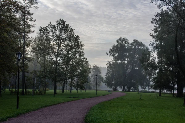 Hermoso Parque Verano Naturaleza Viajes — Foto de Stock