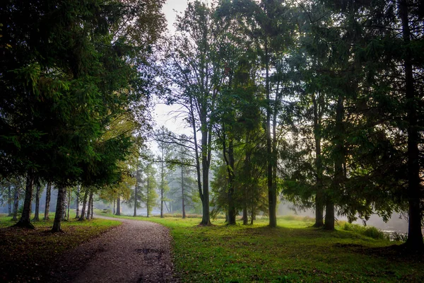 Piękne Lato Park Natura Podróżować — Zdjęcie stockowe