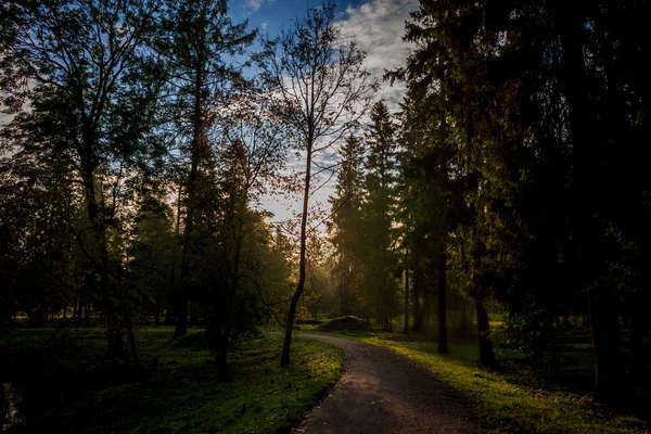 Beau Parc Été Nature Voyage — Photo