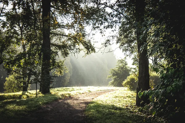 Szép Nyári Park Természet Utazás — Stock Fotó