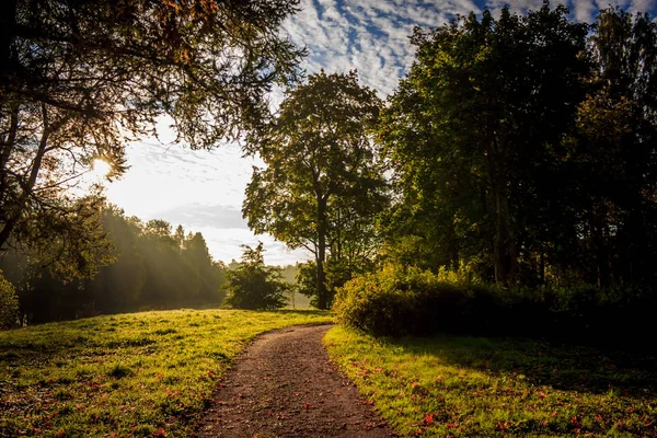 Güzel yaz park. Doğa, seyahat