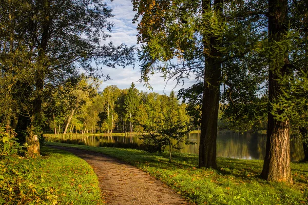 Hermoso Parque Verano Naturaleza Viajes — Foto de Stock