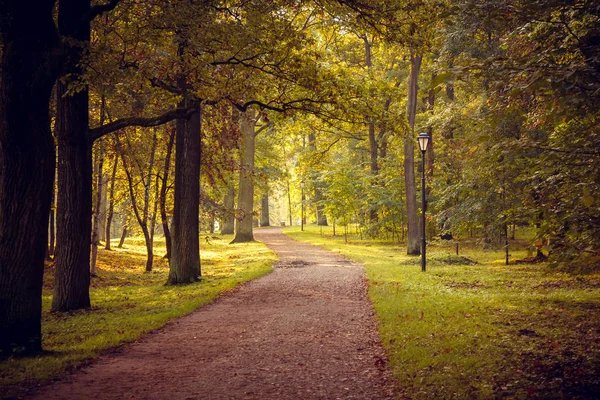 Hermoso Parque Verano Naturaleza Viajes — Foto de Stock