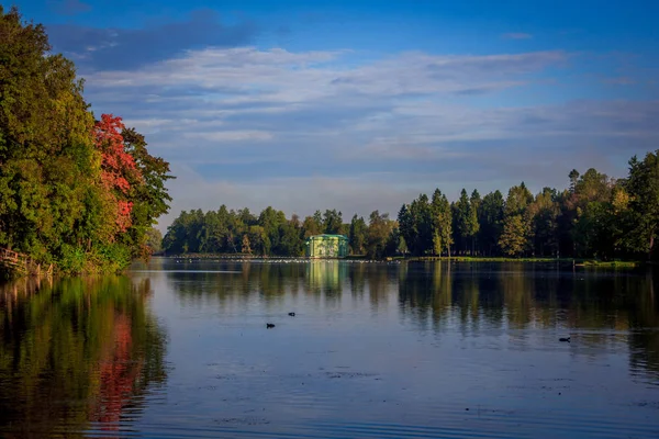 夏の公園の美しい湖 — ストック写真
